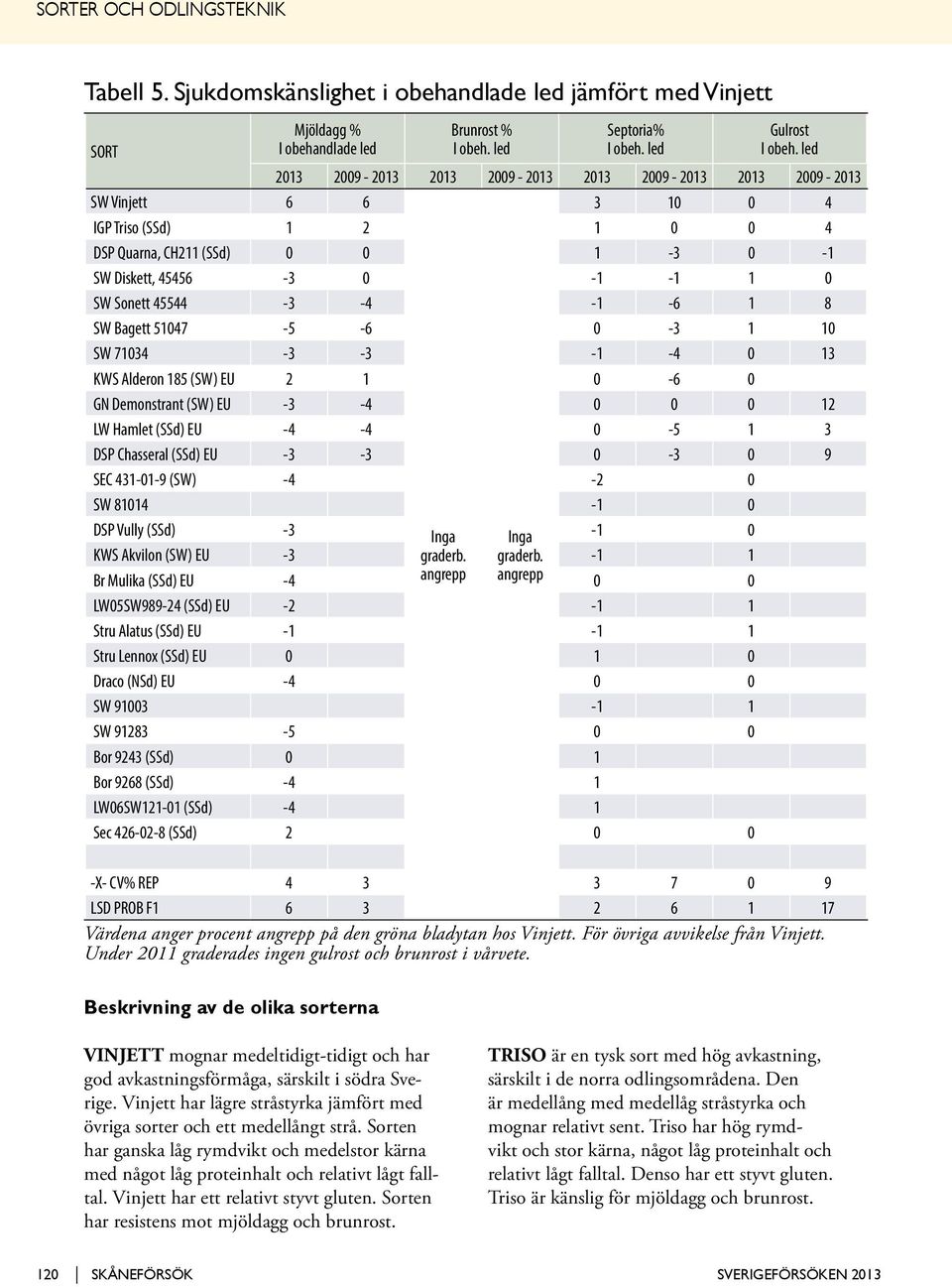 För övriga avvikelse från Vinjett. Under 2011 graderades ingen gulrost och brunrost i vårvete. Beskrivning av de olika sorterna Brunrost % I obeh. led Septoria% I obeh.