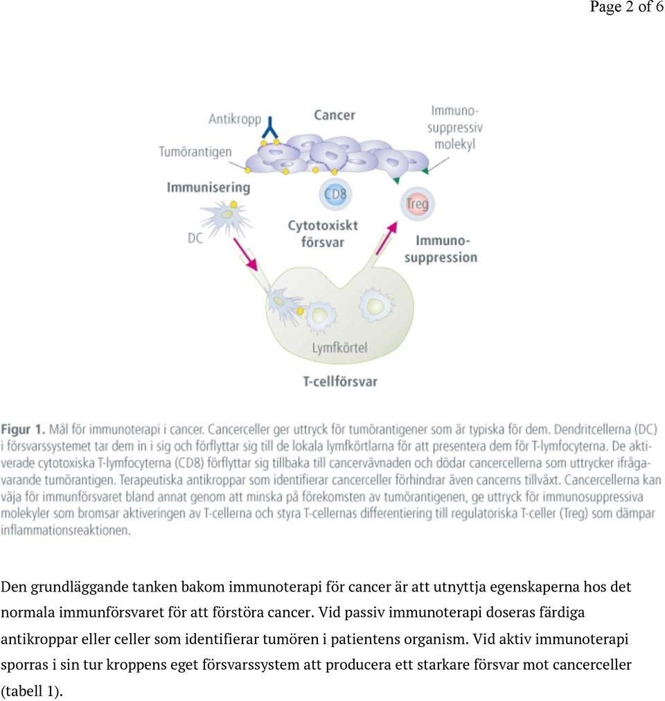 Vid passiv immunoterapi doseras färdiga antikroppar eller celler som identifierar tumören i