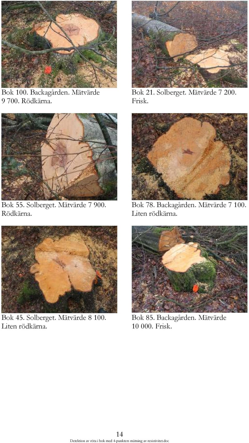 Bok 78. Backagården. Mätvärde 7 100. Liten rödkärna. Bok 45. Solberget.