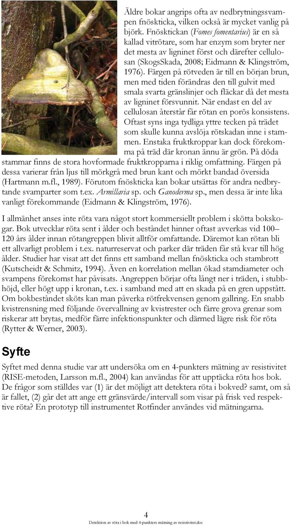 Färgen på rötveden är till en början brun, men med tiden förändras den till gulvit med smala svarta gränslinjer och fläckar då det mesta av ligninet försvunnit.