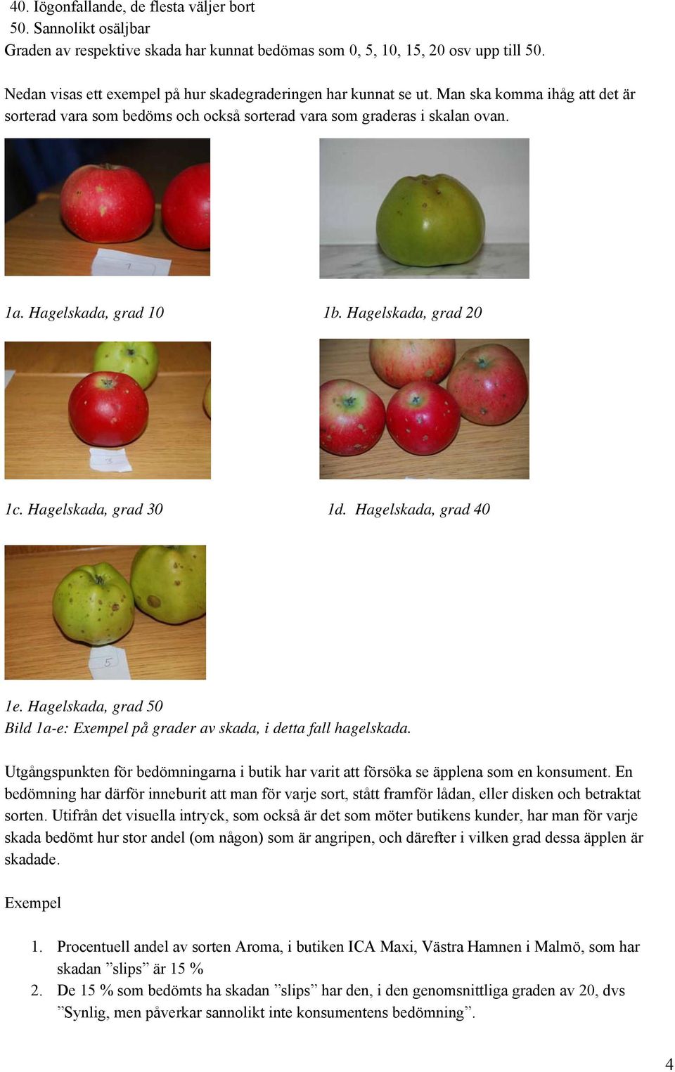 Hagelskada, grad 20 1c. Hagelskada, grad 30 1d. Hagelskada, grad 40 1e. Hagelskada, grad 50 Bild 1a-e: Exempel på grader av skada, i detta fall hagelskada.