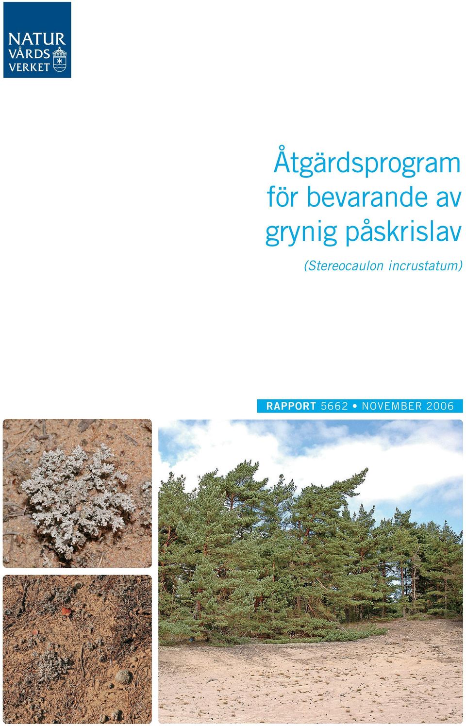 påskrislav (Stereocaulon
