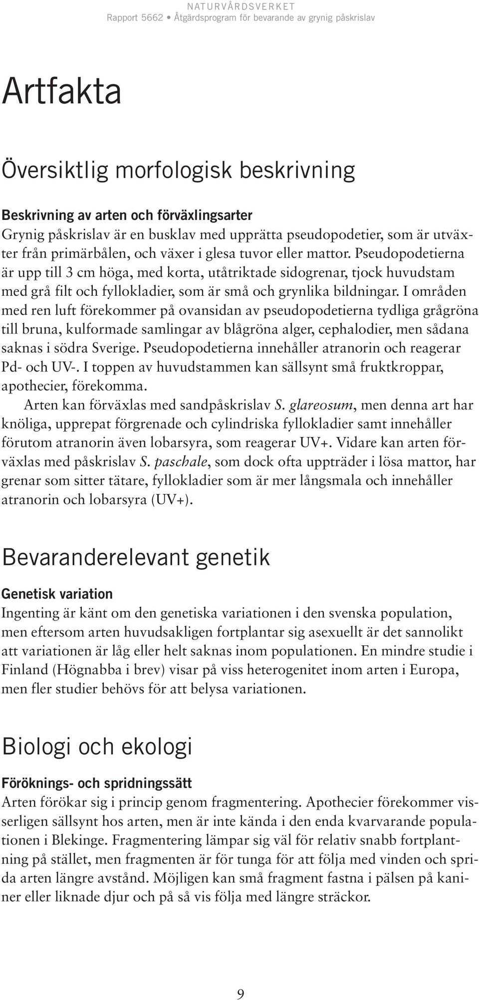 I områden med ren luft förekommer på ovansidan av pseudopodetierna tydliga grågröna till bruna, kulformade samlingar av blågröna alger, cephalodier, men sådana saknas i södra Sverige.