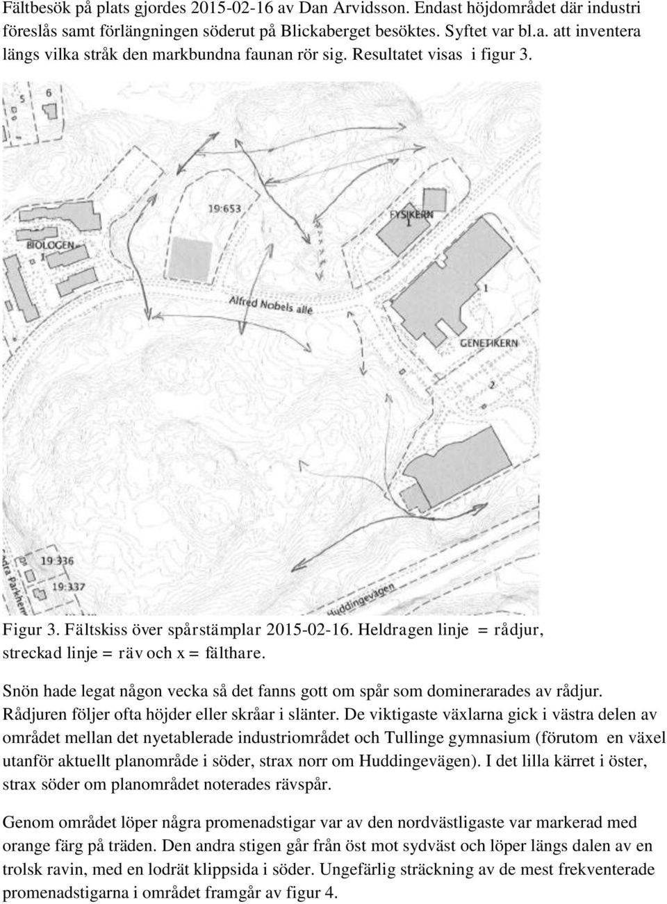 Snön hade legat någon vecka så det fanns gott om spår som dominerarades av rådjur. Rådjuren följer ofta höjder eller skråar i slänter.