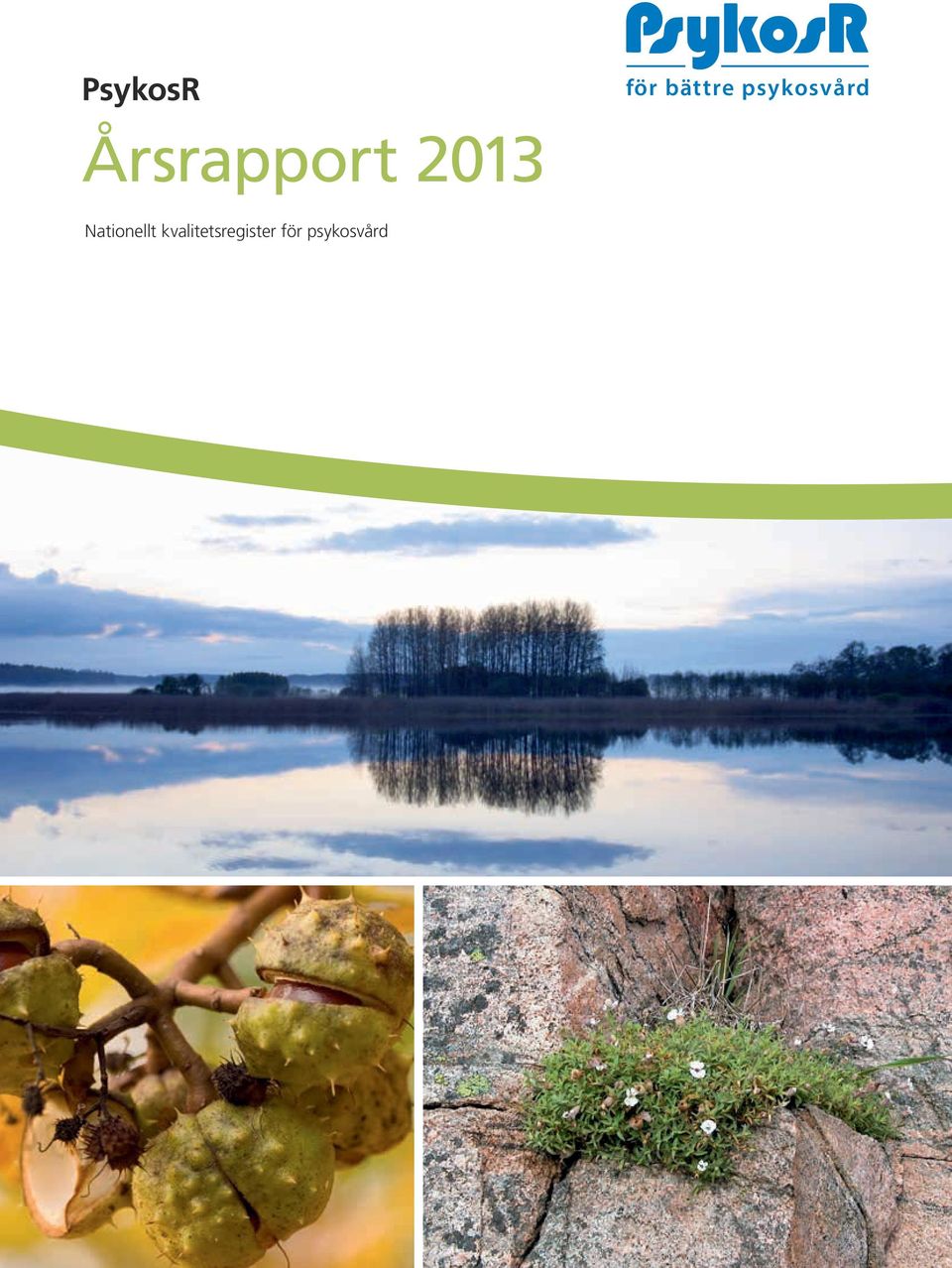 Årsrapport