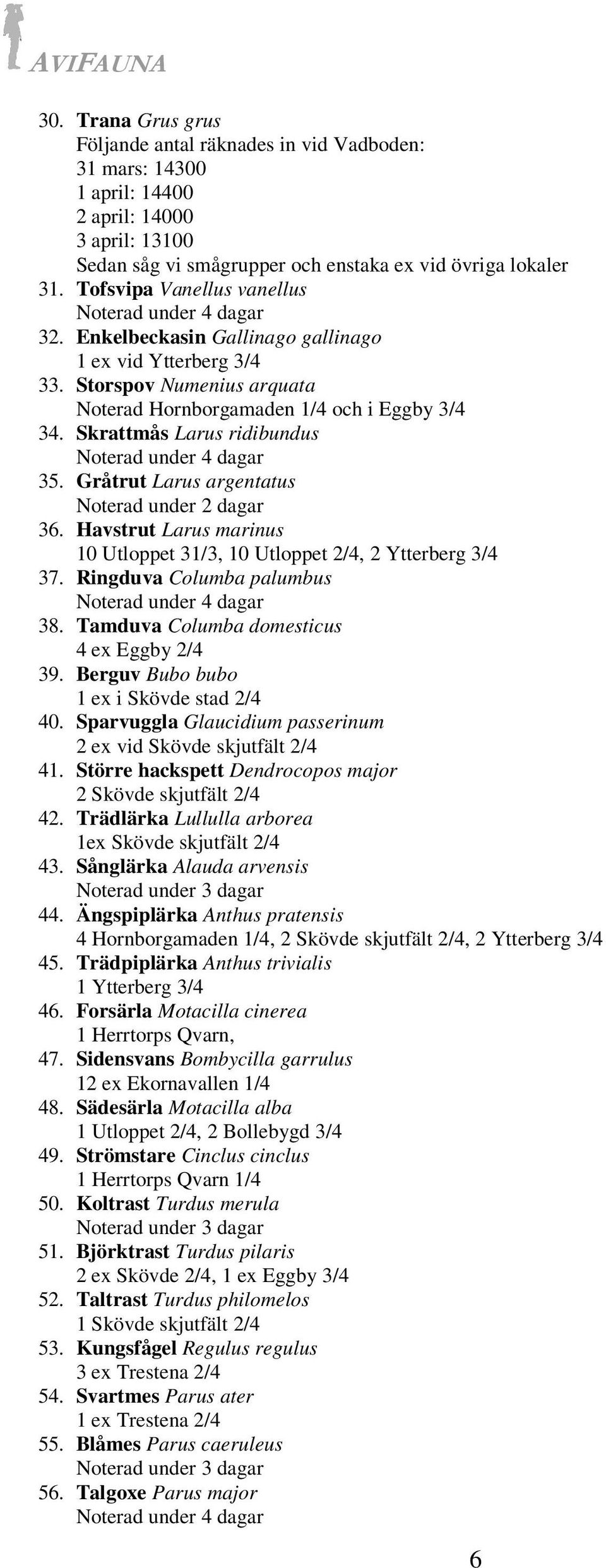 Gråtrut Larus argentatus Noterad under 2 dagar 36. Havstrut Larus marinus 10 Utloppet 31/3, 10 Utloppet 2/4, 2 Ytterberg 3/4 37. Ringduva Columba palumbus 38.