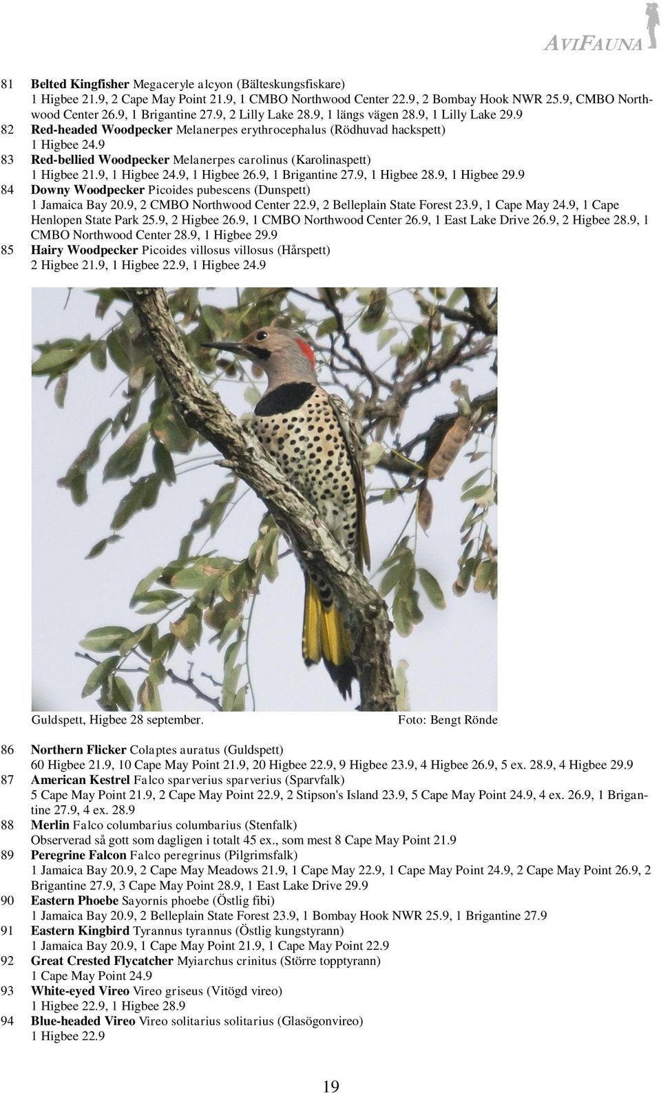 9 83 Red-bellied Woodpecker Melanerpes carolinus (Karolinaspett) 1 Higbee 21.9, 1 Higbee 24.9, 1 Higbee 26.9, 1 Brigantine 27.9, 1 Higbee 28.9, 1 Higbee 29.