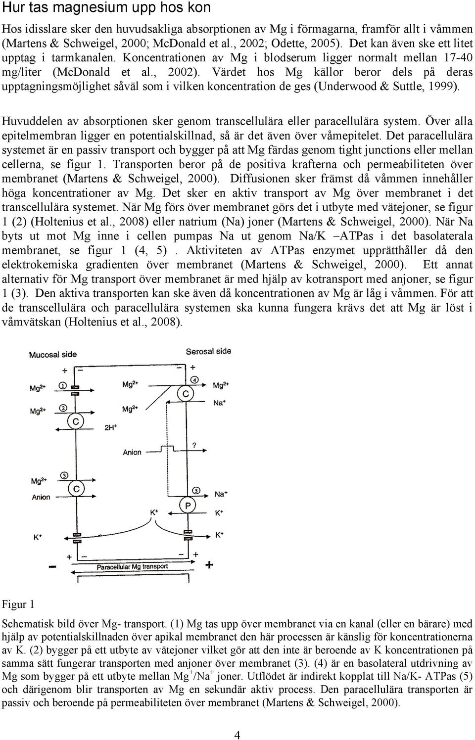 Värdet hos Mg källor beror dels på deras upptagningsmöjlighet såväl som i vilken koncentration de ges Underwood & Suttle, 1999).