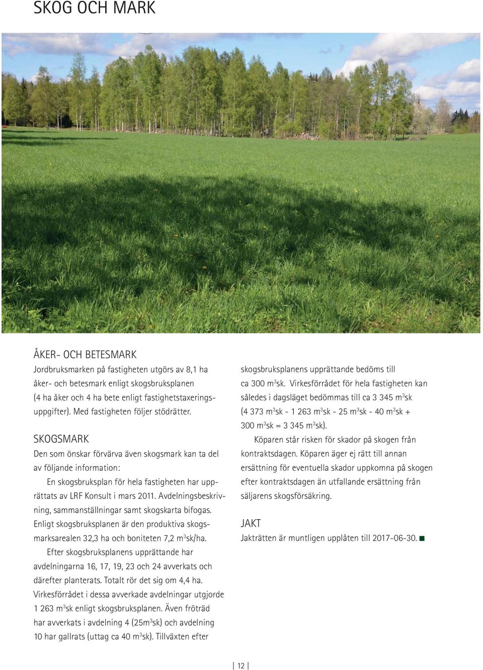 SKOGSMARK Den som önskar förvärva även skogsmark kan ta del av följande information: En skogsbruksplan för hela fastigheten har upprättats av LRF Konsult i mars 2011.