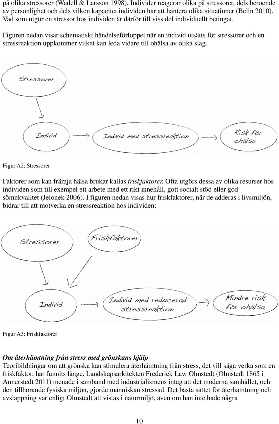 Figuren nedan visar schematiskt händelseförloppet när en individ utsätts för stressorer och en stressreaktion uppkommer vilket kan leda vidare till ohälsa av olika slag.
