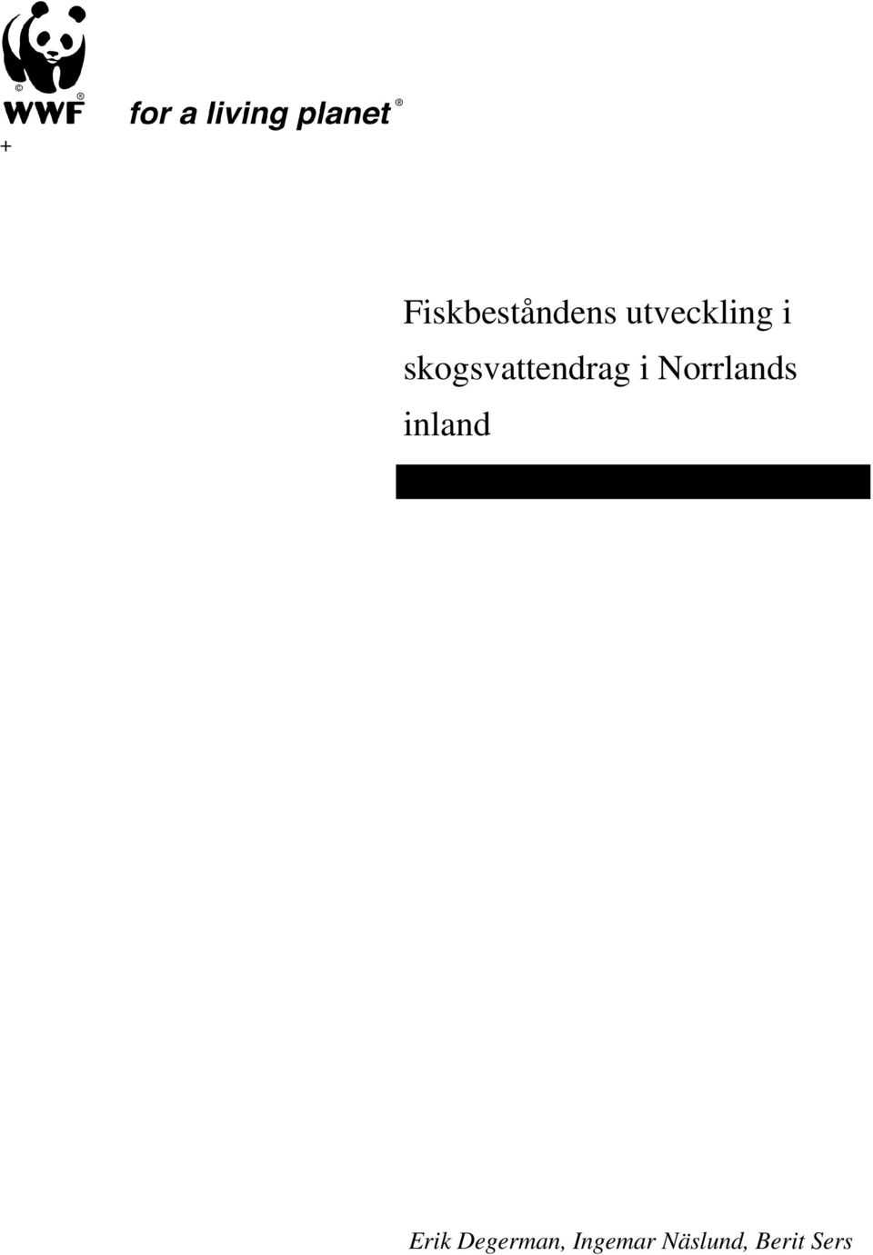 skogsvattendrag i