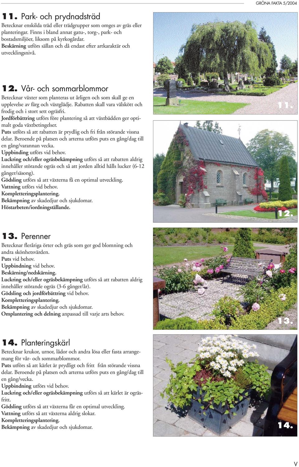 Vår- och sommarblommor Betecknar växter som planteras ut årligen och som skall ge en upplevelse av färg och växtglädje. Rabatten skall vara välskött och frodig och i stort sett ogräsfri.