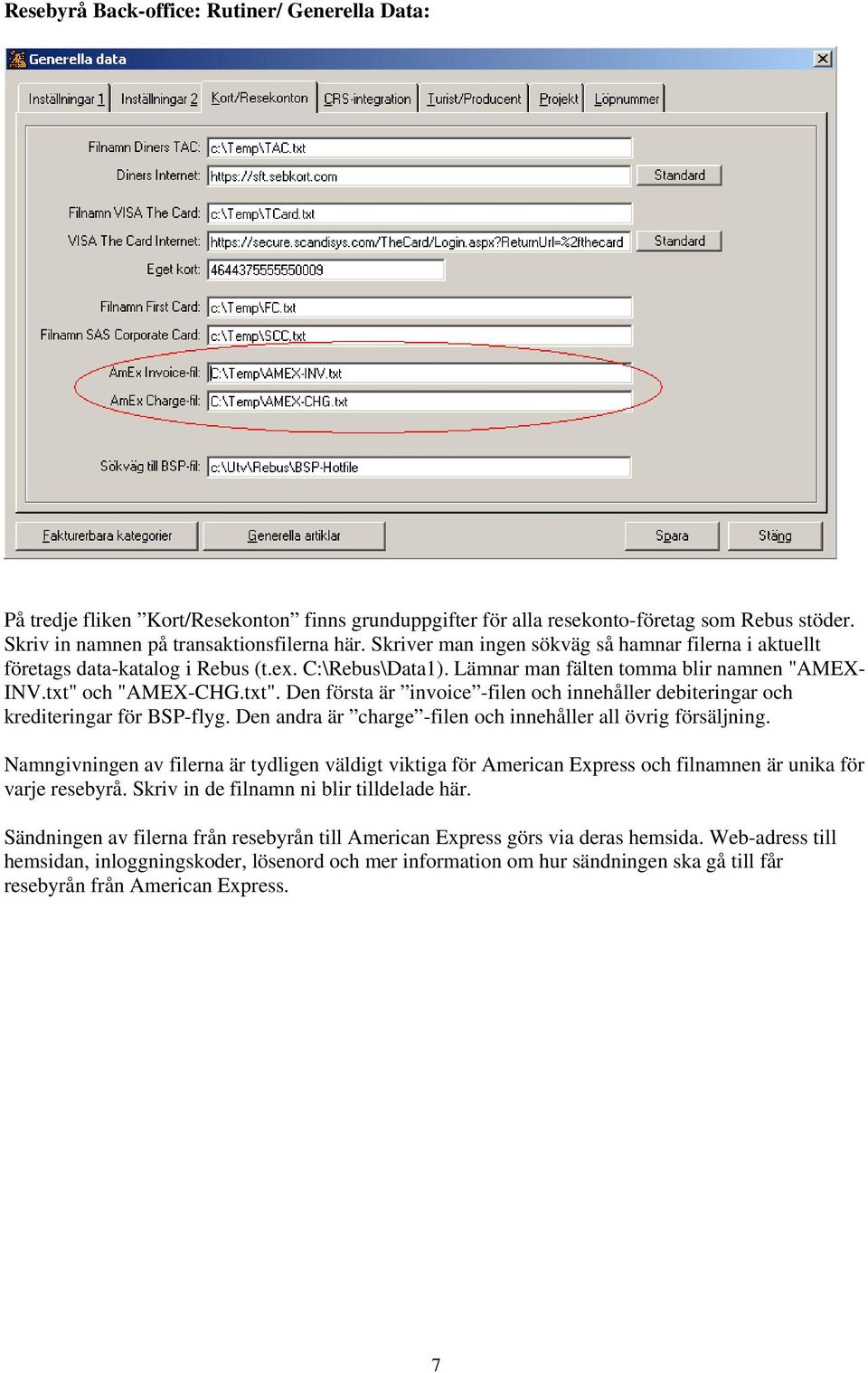 och "AMEX-CHG.txt". Den första är invoice -filen och innehåller debiteringar och krediteringar för BSP-flyg. Den andra är charge -filen och innehåller all övrig försäljning.