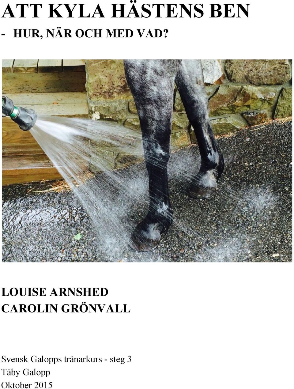 LOUISE ARNSHED CAROLIN GRÖNVALL