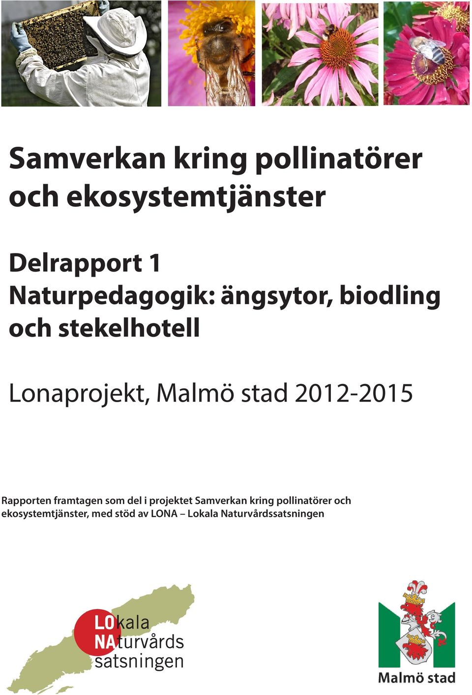 stad 2012-2015 Rapporten framtagen som del i projektet Samverkan kring