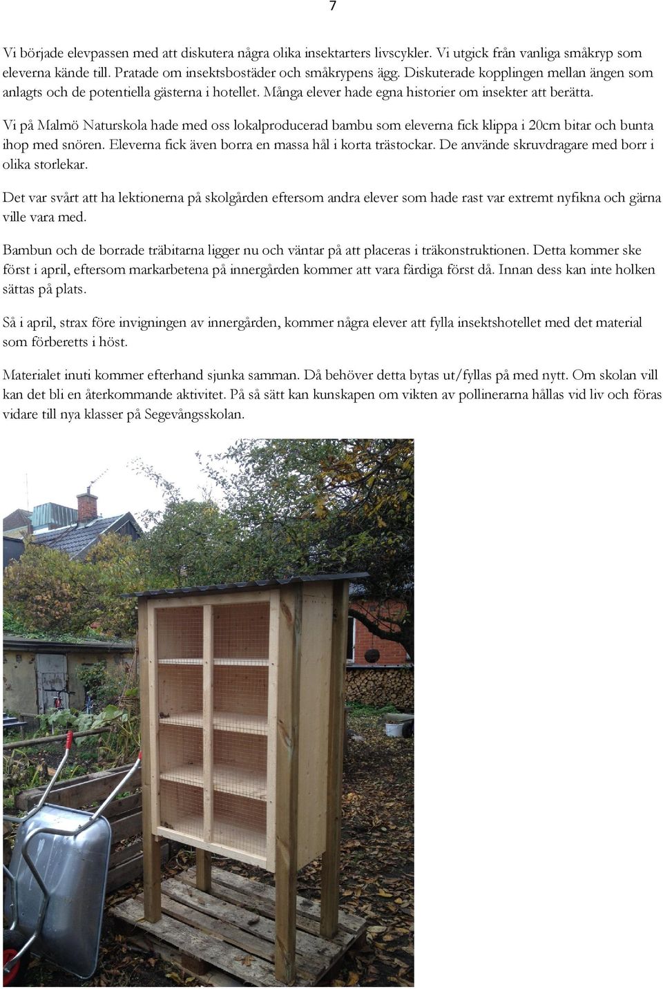 Vi på Malmö Naturskola hade med oss lokalproducerad bambu som eleverna fick klippa i 20cm bitar och bunta ihop med snören. Eleverna fick även borra en massa hål i korta trästockar.