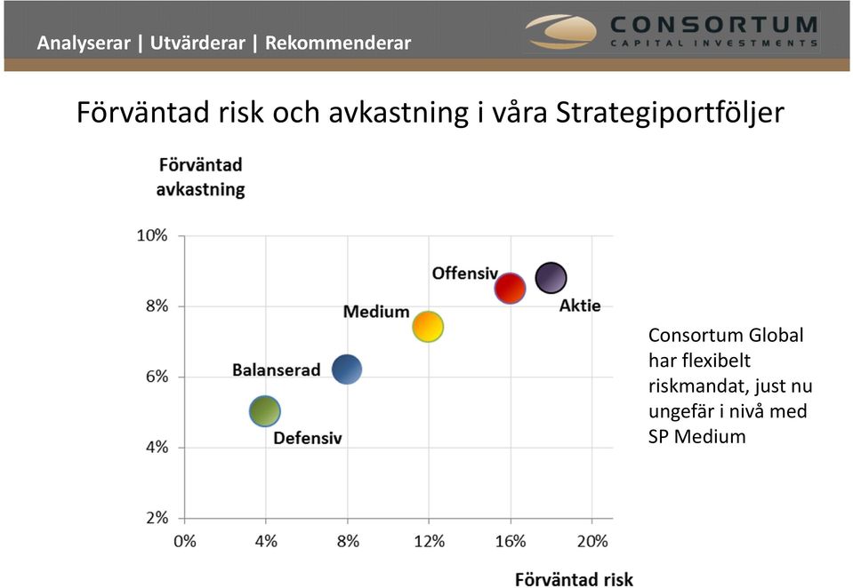 Global har flexibelt riskmandat,