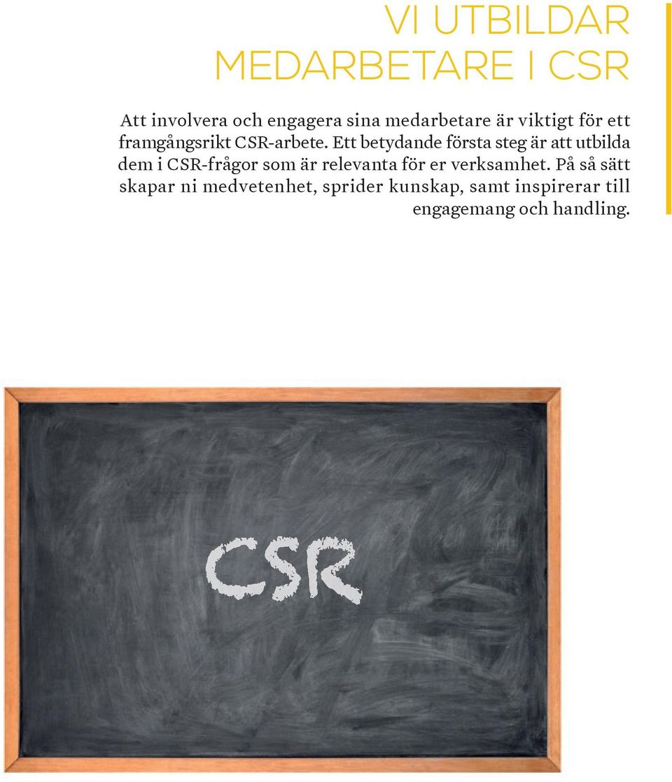 Ett betydande första steg är att utbilda dem i CSR-frågor som är relevanta för