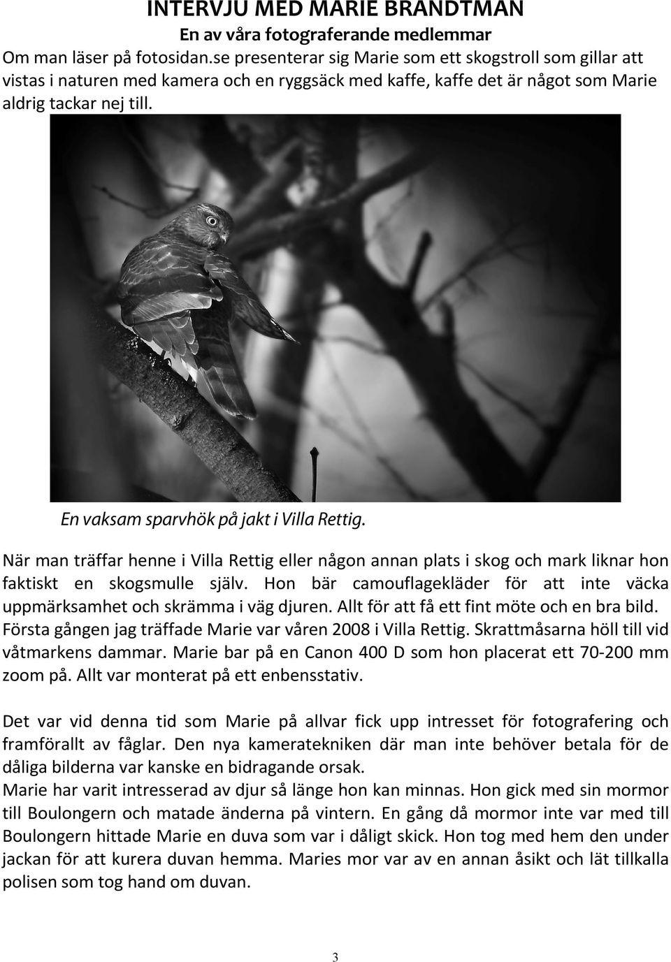 En vaksam sparvhök på jakt i Villa Rettig. När man träffar henne i Villa Rettig eller någon annan plats i skog och mark liknar hon faktiskt en skogsmulle själv.