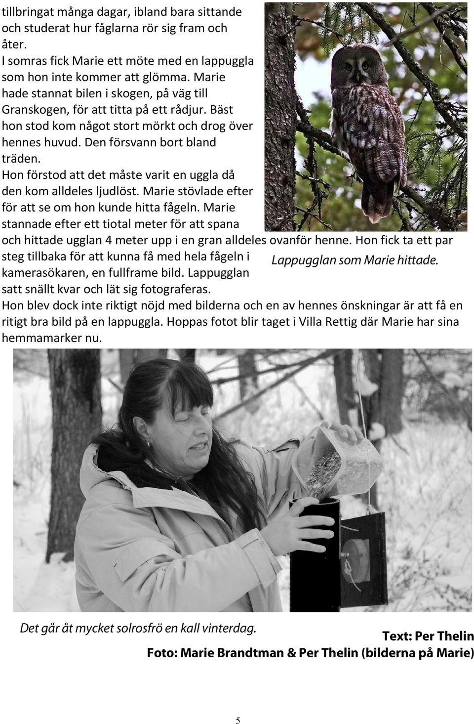 Hon förstod att det måste varit en uggla då den kom alldeles ljudlöst. Marie stövlade efter för att se om hon kunde hitta fågeln.