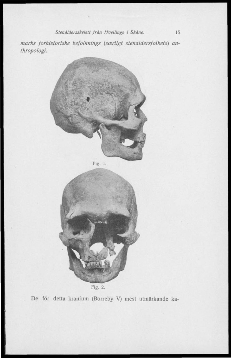 stenåldersfolkets) anthropologi. Fre. l. Fig.