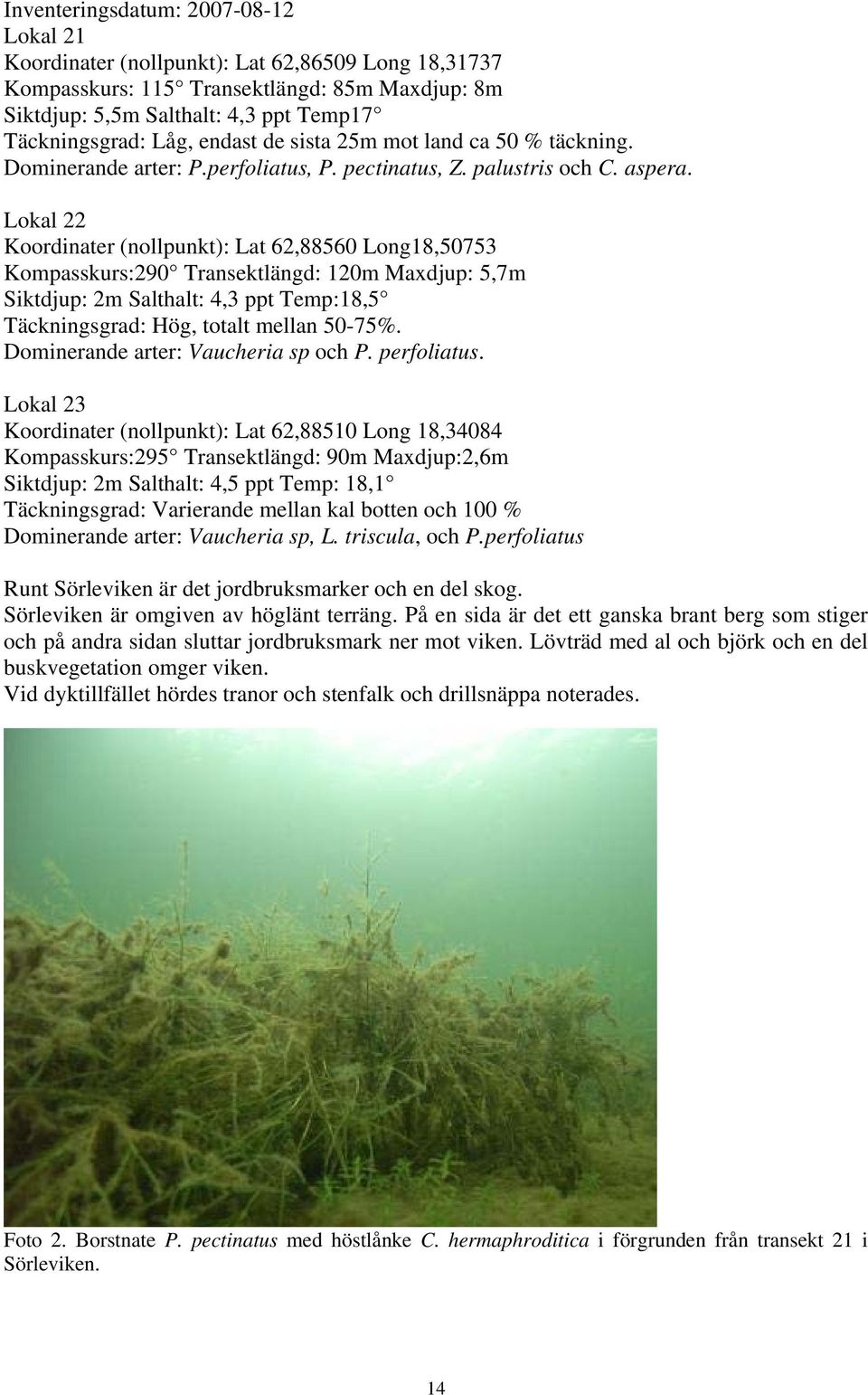Lokal 22 Koordinater (nollpunkt): Lat 62,88560 Long18,50753 Kompasskurs:290 Transektlängd: 120m Maxdjup: 5,7m Siktdjup: 2m Salthalt: 4,3 ppt Temp:18,5 Täckningsgrad: Hög, totalt mellan 50-75%.