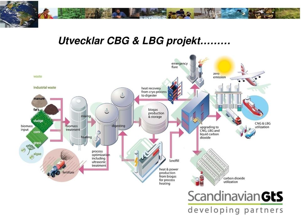 projekt
