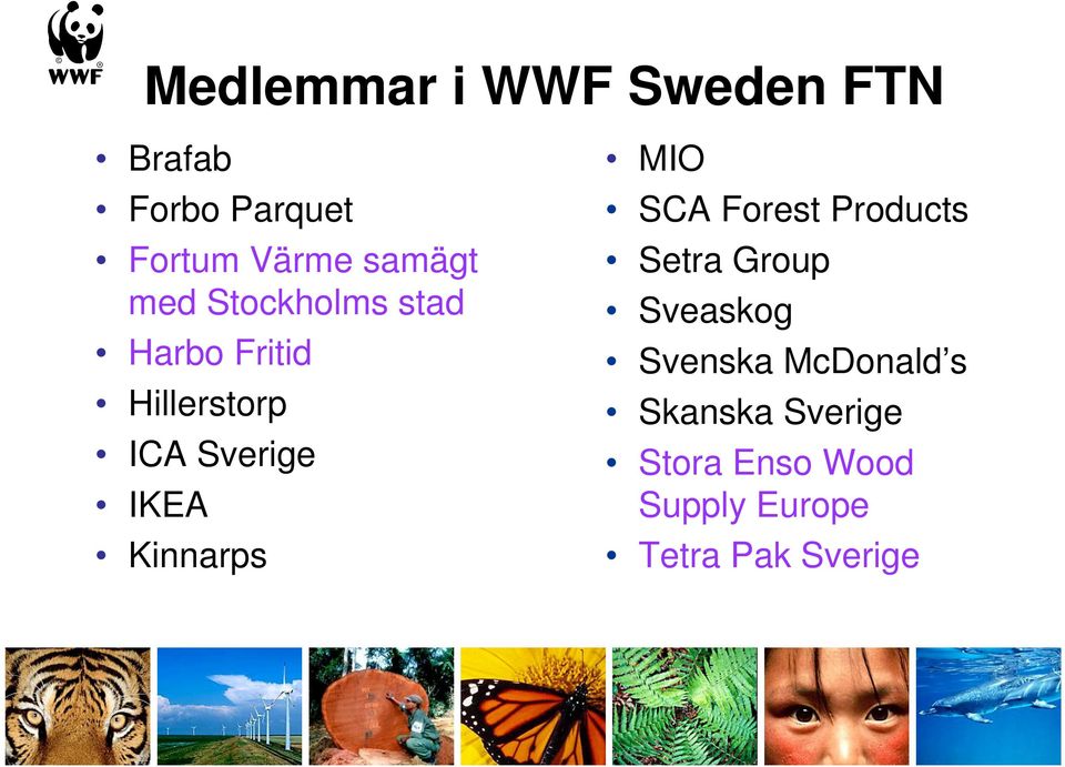 IKEA Kinnarps MIO SCA Forest Products Setra Group Sveaskog Svenska
