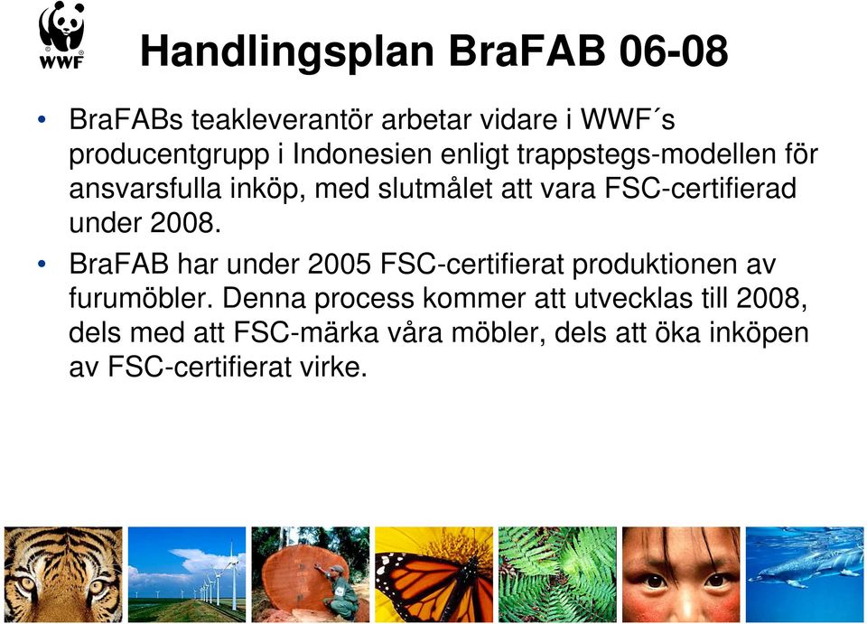 FSC-certifierad under 2008. BraFAB har under 2005 FSC-certifierat produktionen av furumöbler.