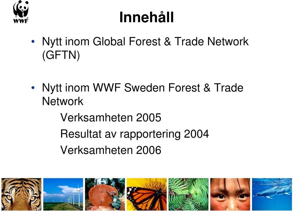 Forest & Trade Network Verksamheten 2005