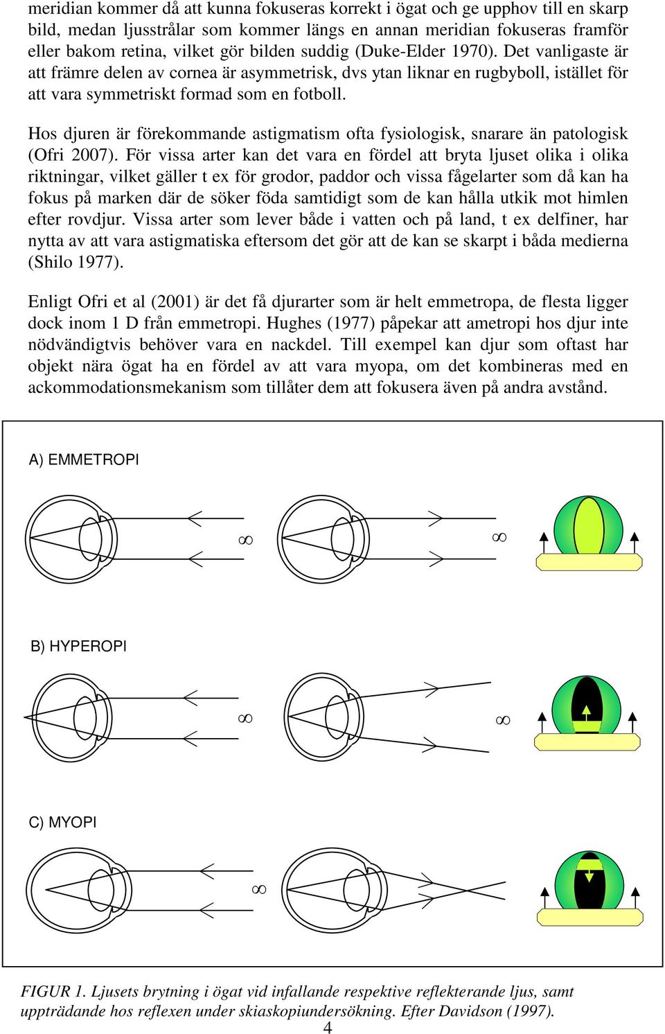 Hos djuren är förekommande astigmatism ofta fysiologisk, snarare än patologisk (Ofri 2007).