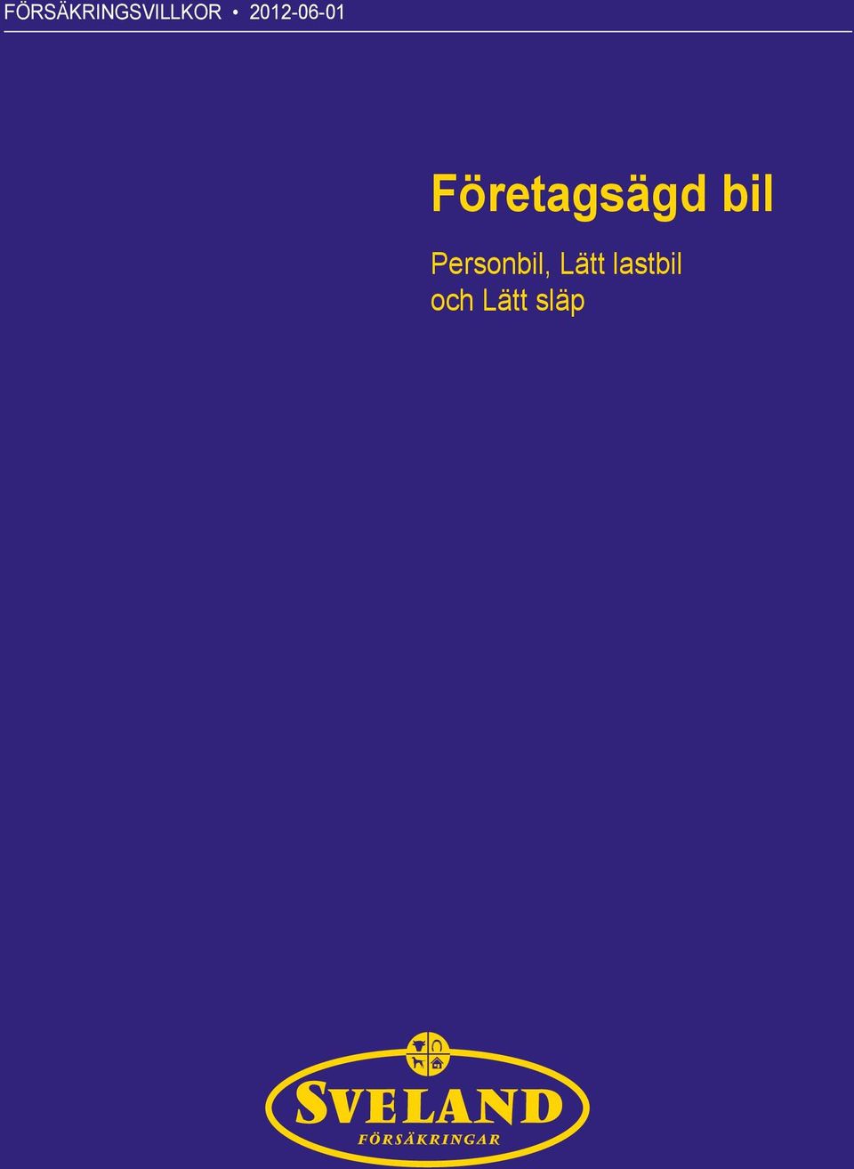 Företagsägd bil