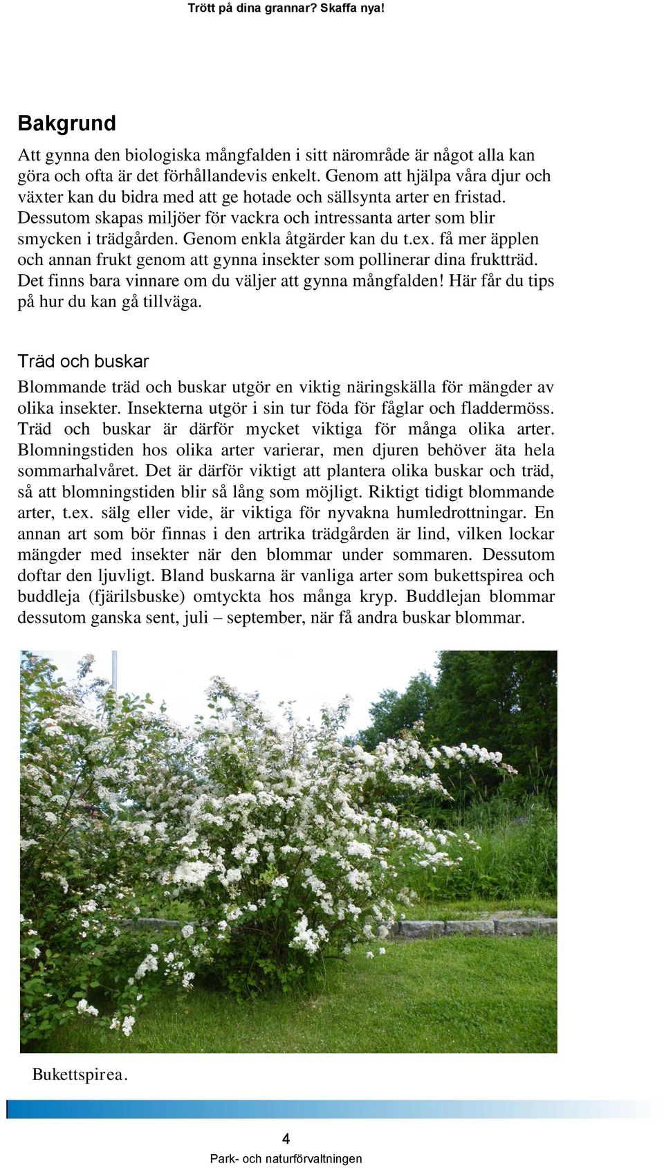 Genom enkla åtgärder kan du t.ex. få mer äpplen och annan frukt genom att gynna insekter som pollinerar dina fruktträd. Det finns bara vinnare om du väljer att gynna mångfalden!
