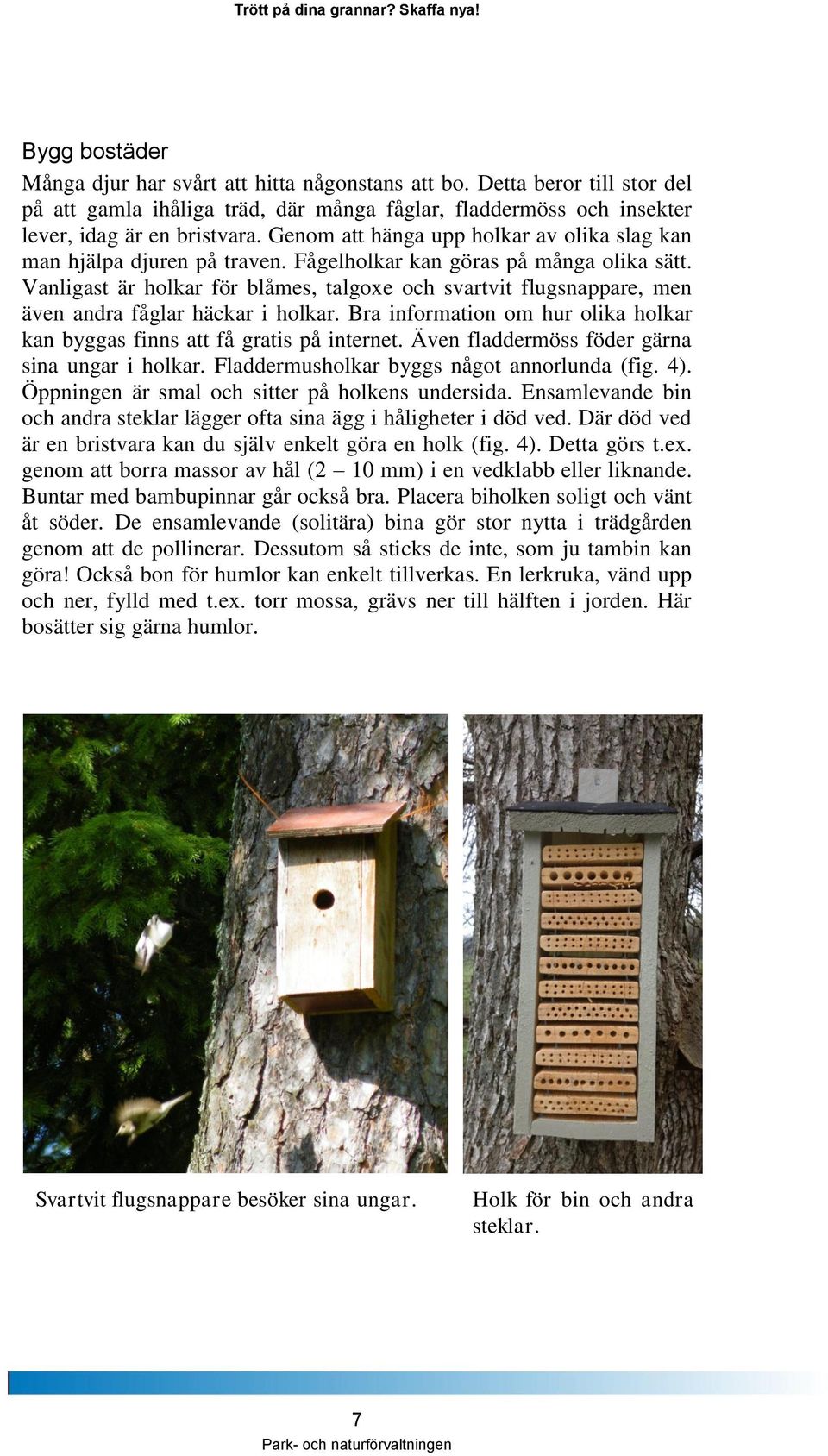 Vanligast är holkar för blåmes, talgoxe och svartvit flugsnappare, men även andra fåglar häckar i holkar. Bra information om hur olika holkar kan byggas finns att få gratis på internet.