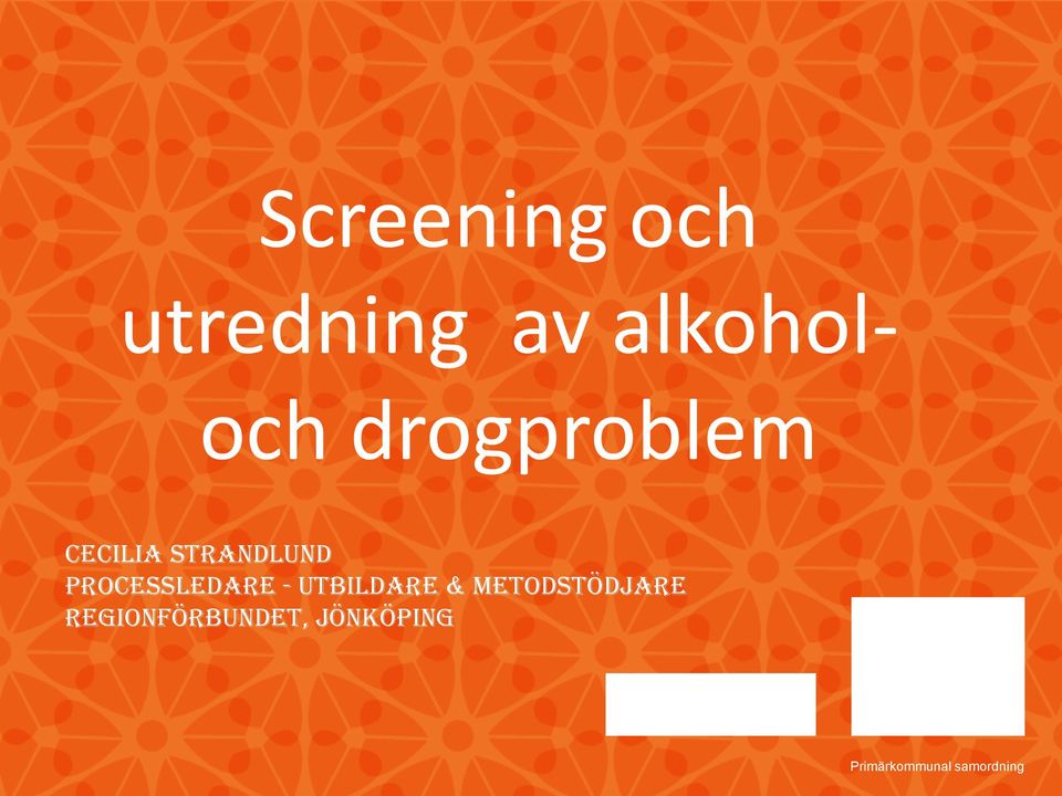 Strandlund Processledare -