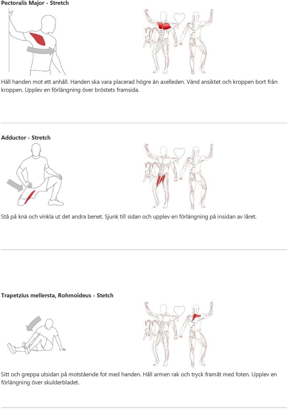 Adductor - Stretch Stå på knä och vinkla ut det andra benet. Sjunk till sidan och upplev en förlängning på insidan av låret.