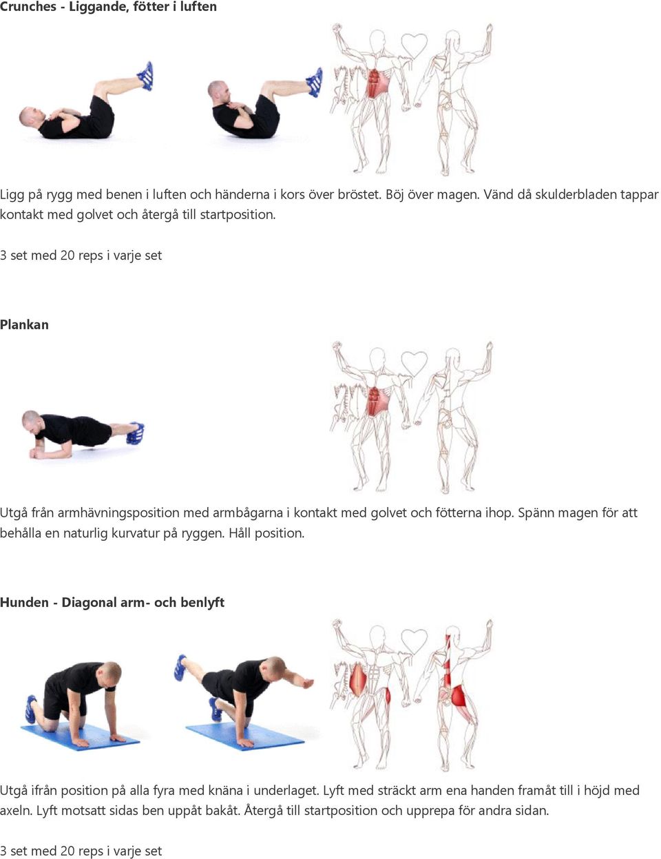 3 set med 20 reps i varje set Plankan Utgå från armhävningsposition med armbågarna i kontakt med golvet och fötterna ihop.