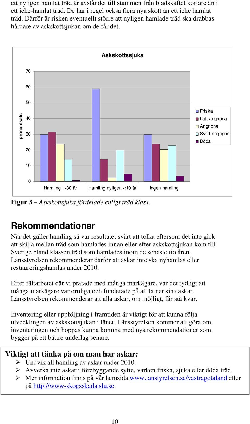 Askskottssjuka 70 60 procentsats 50 40 30 20 Friska Lätt angripna Angripna Svårt angripna Döda 10 0 Hamling >30 är Hamling nyligen <10 är Ingen hamling Figur 3 Askskottsjuka fördelade enligt träd