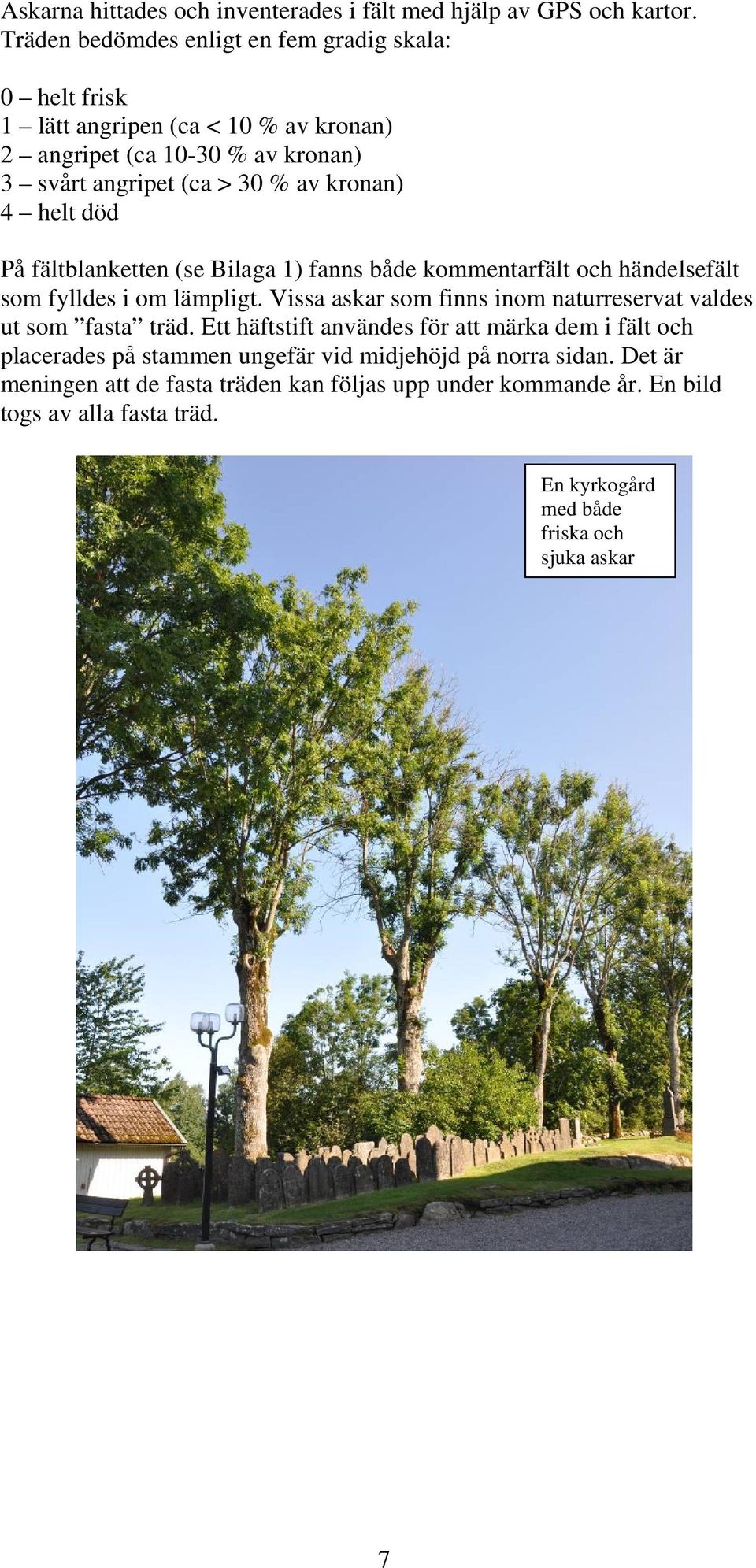 helt död På fältblanketten (se Bilaga 1) fanns både kommentarfält och händelsefält som fylldes i om lämpligt.