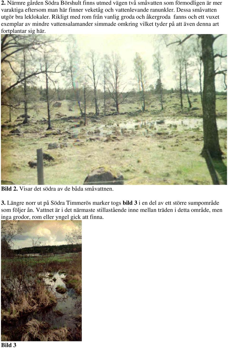 Rikligt med rom från vanlig groda och åkergroda fanns och ett vuxet exemplar av mindre vattensalamander simmade omkring vilket tyder på att även denna art