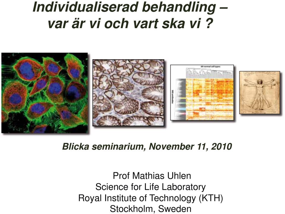 Blicka seminarium, November 11, 2010 Prof