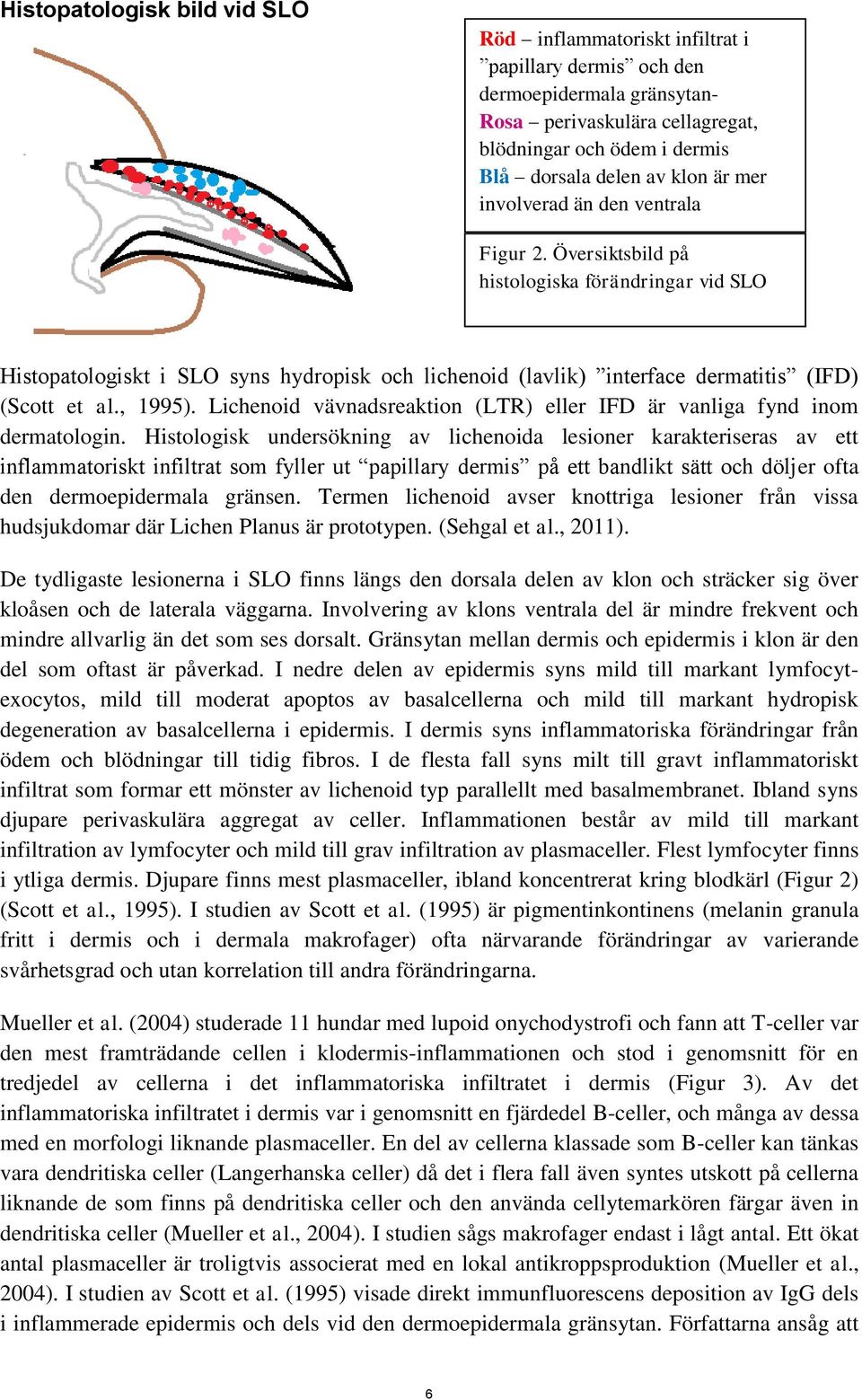, 1995). Lichenoid vävnadsreaktion (LTR) eller IFD är vanliga fynd inom dermatologin.