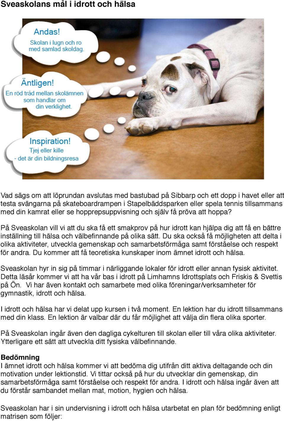 På Sveaskolan vill vi att du ska få ett smakprov på hur idrott kan hjälpa dig att få en bättre inställning till hälsa och välbefinnande på olika sätt.