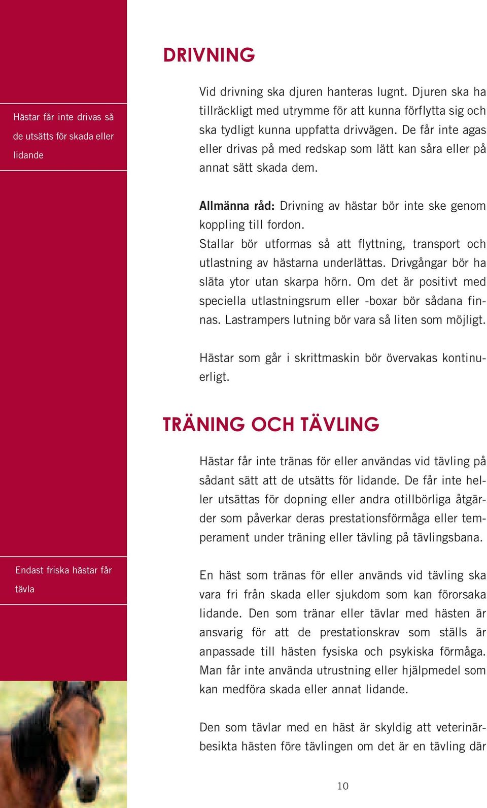 De får inte agas eller drivas på med redskap som lätt kan såra eller på annat sätt skada dem. Allmänna råd: Drivning av hästar bör inte ske genom koppling till fordon.