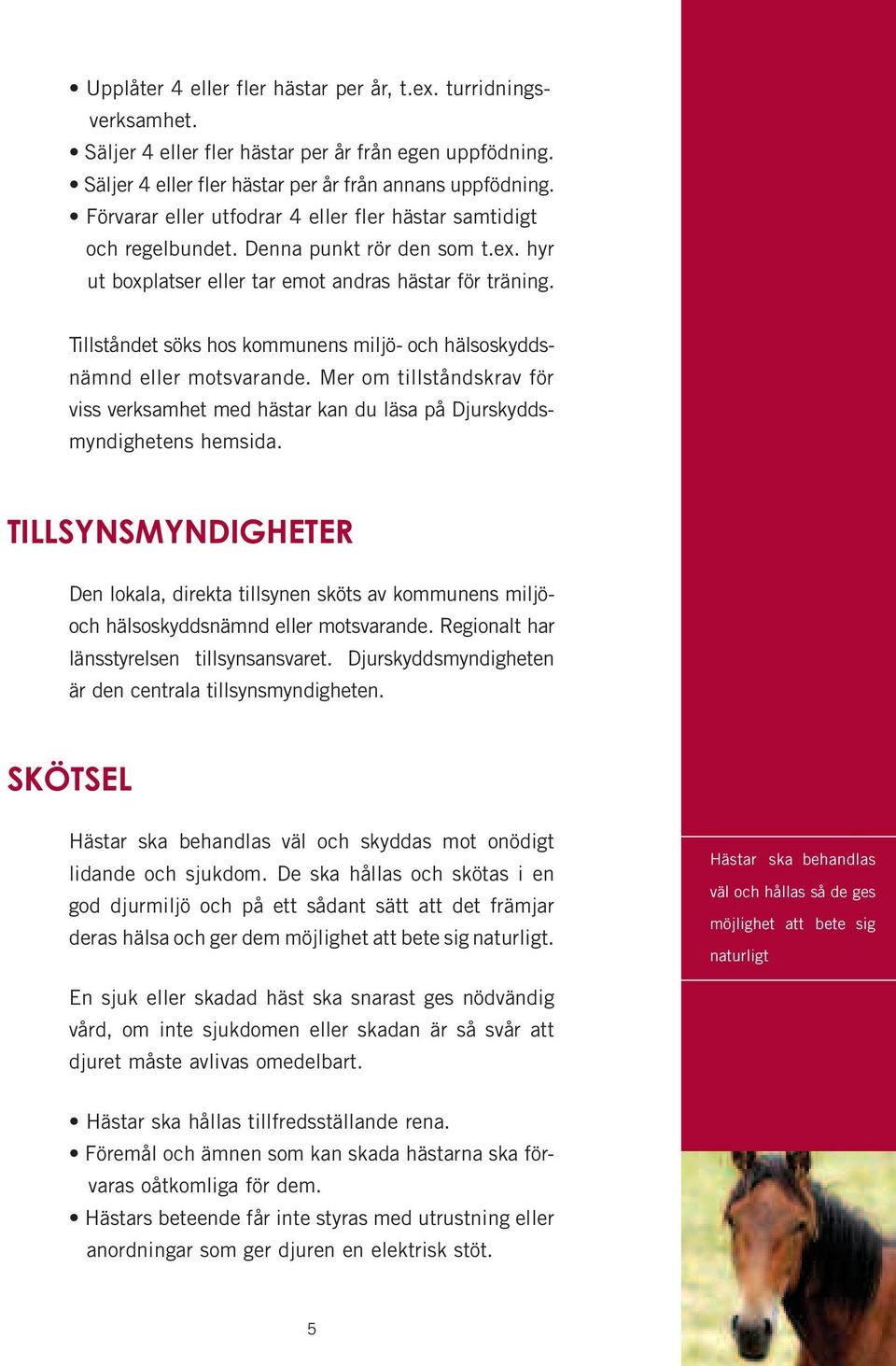 Tillståndet söks hos kommunens miljö- och hälsoskyddsnämnd eller motsvarande. Mer om tillståndskrav för viss verksamhet med hästar kan du läsa på Djurskyddsmyndighetens hemsida.