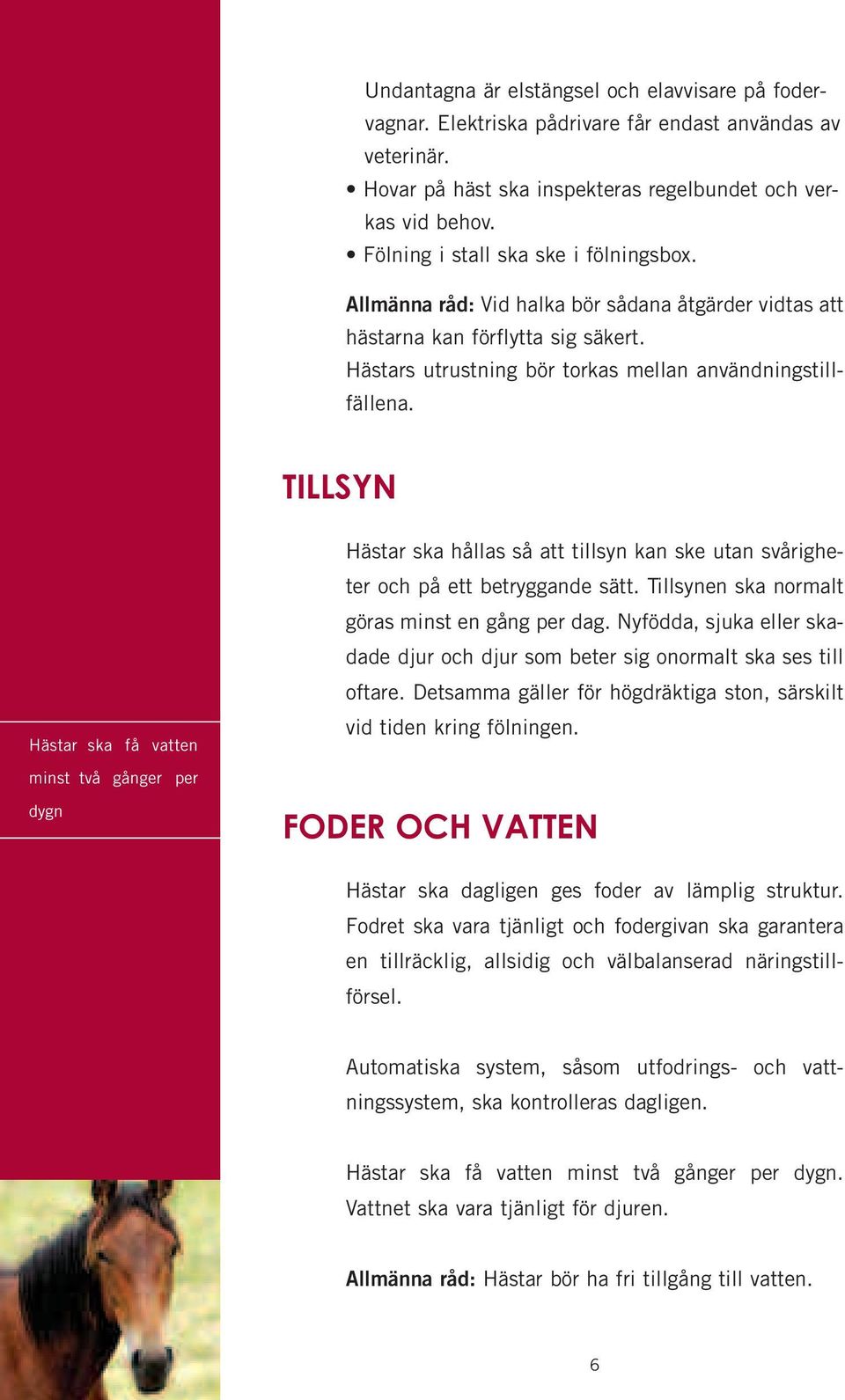 TILLSYN Hästar ska få vatten minst två gånger per dygn Hästar ska hållas så att tillsyn kan ske utan svårigheter och på ett betryggande sätt. Tillsynen ska normalt göras minst en gång per dag.