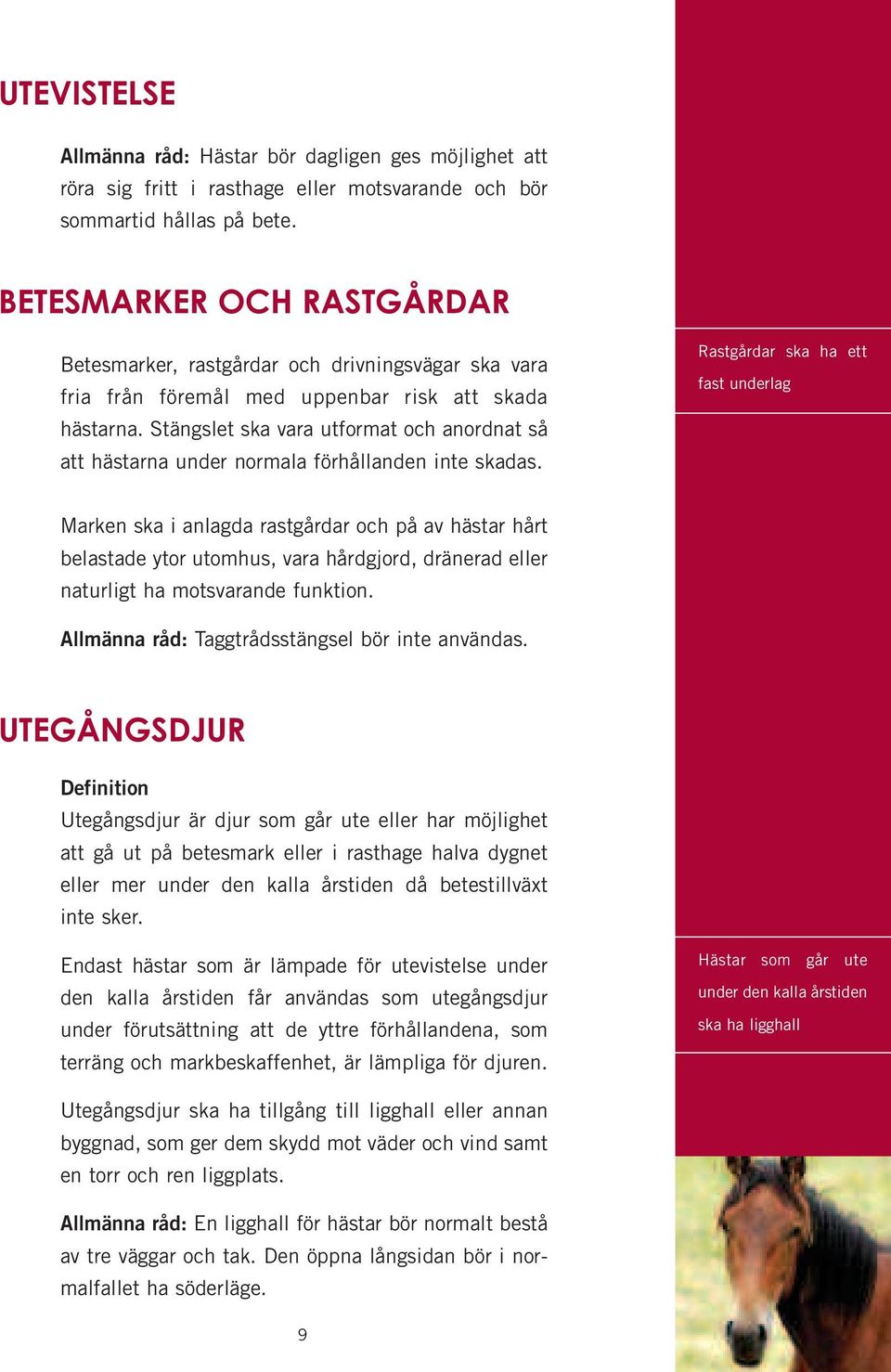 Stängslet ska vara utformat och anordnat så att hästarna under normala förhållanden inte skadas.