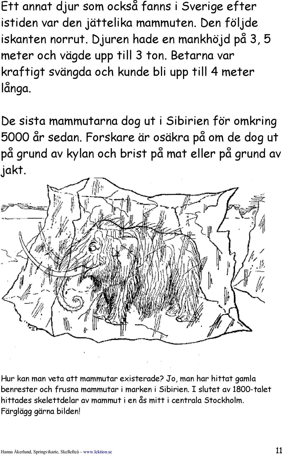 De sista mammutarna dog ut i Sibirien för omkring 5000 år sedan. Forskare är osäkra på om de dog ut på grund av kylan och brist på mat eller på grund av jakt.