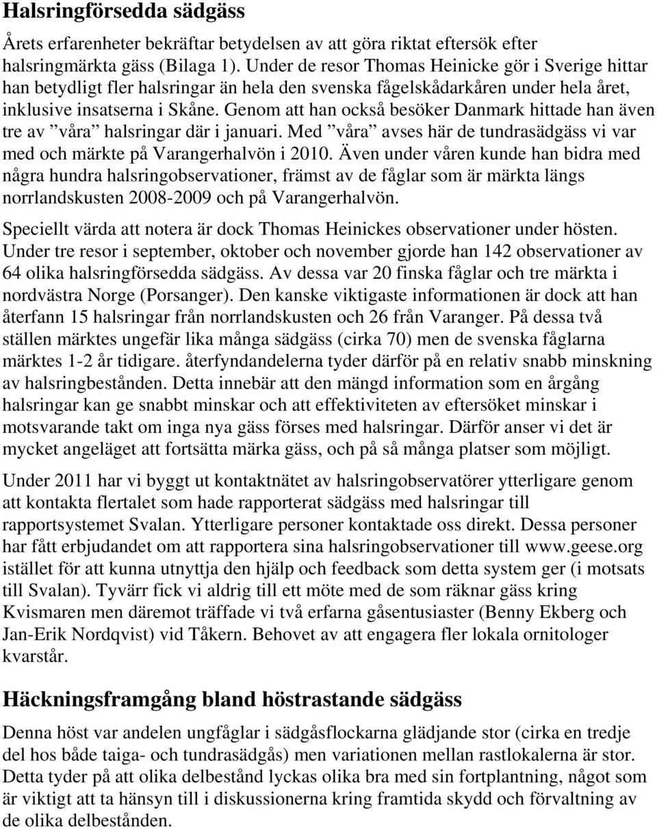 Genom att han också besöker Danmark hittade han även tre av våra halsringar där i januari. Med våra avses här de tundrasädgäss vi var med och märkte på Varangerhalvön i 2010.