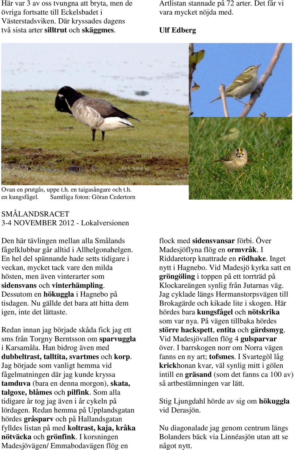 Samtliga foton: Göran Cedertorn SMÅLANDSRACET 3-4 NOVEMBER 2012 - Lokalversionen Den här tävlingen mellan alla Smålands fågelklubbar går alltid i Allhelgonahelgen.